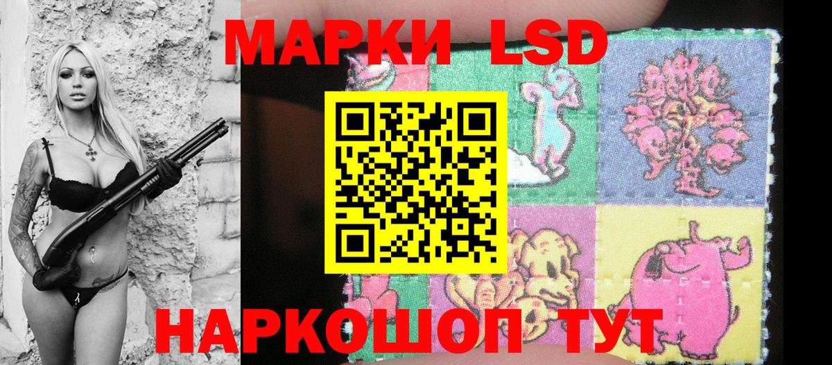 Марки NBOMe 1500мкг  где продают наркотики  Шадринск  Вход с VPN  Марки NBOMe 1500мкг 