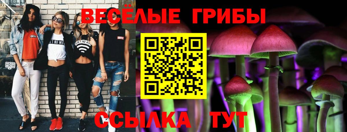 Псилоцибиновые грибы Magic Shrooms Шадринск