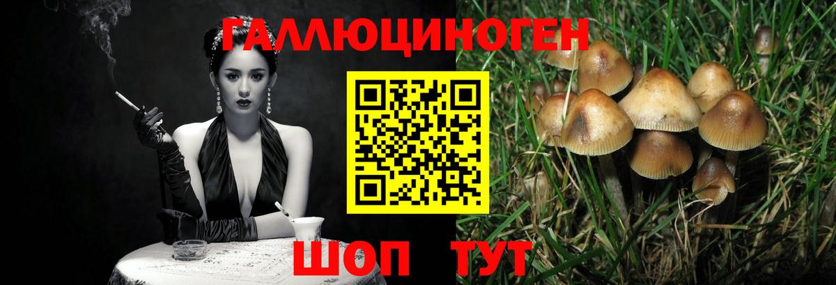 Псилоцибиновые грибы прущие грибы  Вход с VPN  Шадринск 